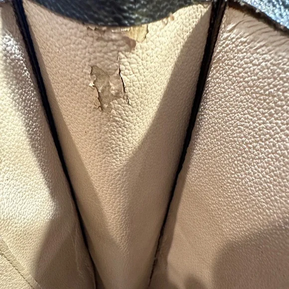 Louis Vuitton Sac Plat Tote Bag with Certificate of Authenticity - Picture 12 of 15